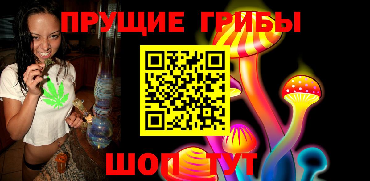 купить наркотики сайты  Галлюциногенные грибы GOLDEN TEACHER  Вход с VPN  Михайловка 